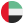 Dubai Flag