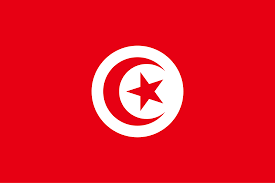 Tunisia Icon